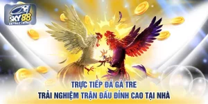 Trực tiếp đá gà tre